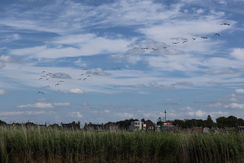 Animals and Nature by Lennart Mans