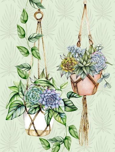 Planten macramehangers