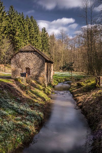 Zweite Taufe by jah picture