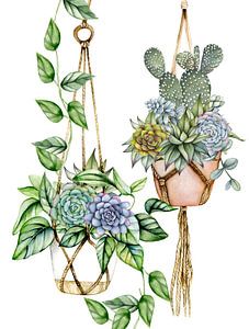 Suspensions de plantes macramé