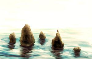 Steine aus dem Meer von Petra van Berkum
