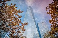 Freedom Tower / World Trade Centre, New York van Maarten Egas Reparaz thumbnail