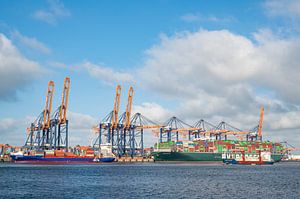 Navires porte-conteneurs au terminal à conteneurs du port de Rotterdam sur Sjoerd van der Wal Photographie