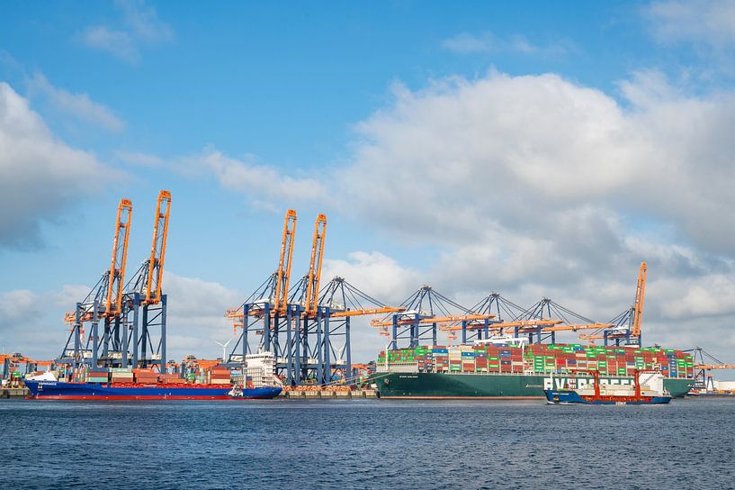 Containerschiffe am Containerterminal im Hafen von Rotterdam von Sjoerd van der Wal Fotografie