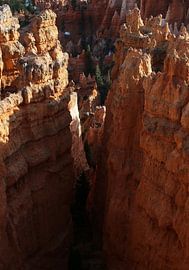 Bryce Canyon by Matthias Brix