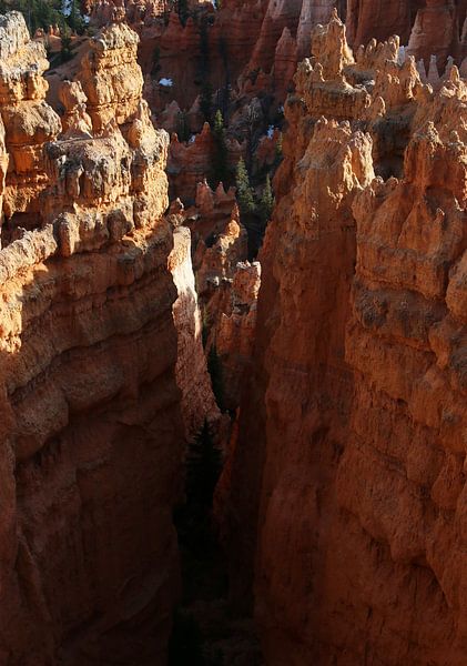 Bryce Canyon von Matthias Brix