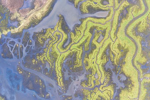 Het verdronken land van Saeftinghe