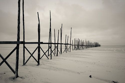 des échafaudages en noir et blanc