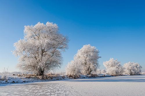 Winterlandschap in Nederland
