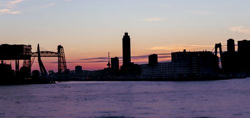 Skyline von Rotterdam zur goldenen Stunde