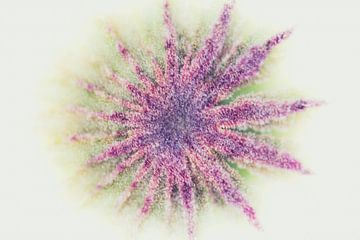 Abstract ster patroon in vrolijk gekleurd paars van Lisette Rijkers