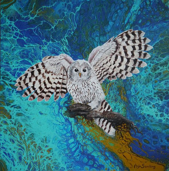 Chouette de Tengmalm (hibou) par Anja Semling