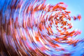 daytrails - abstracte kunst - bomen - zon - rood by Sven Van Santvliet