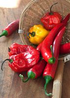 peppers0276