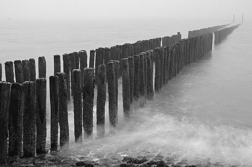 Mist aan de kust van Breskens