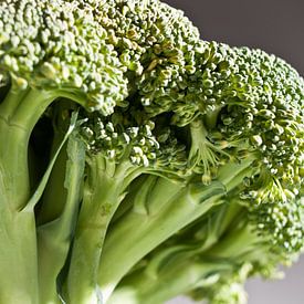 broccoli van Toon Maes