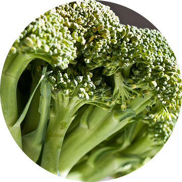 broccoli van Toon Maes