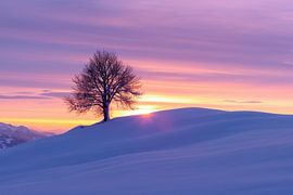 Märchenlandschaft im Winter