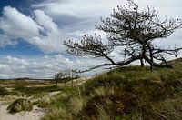 Carved by wind and weather