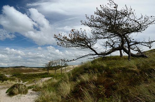 Carved by wind and weather