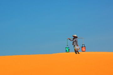 Keeping The Sand Dunes Clean by Darlene Hewson