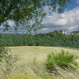 Blick auf das Dorf und die Burg Wildenburg (Hellenthal),Eifel von Peter Eckert