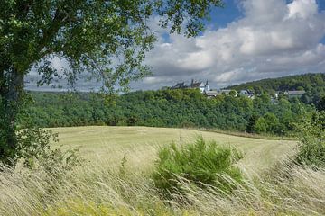 Blick auf das Dorf und die Burg Wildenburg (Hellenthal),Eifel