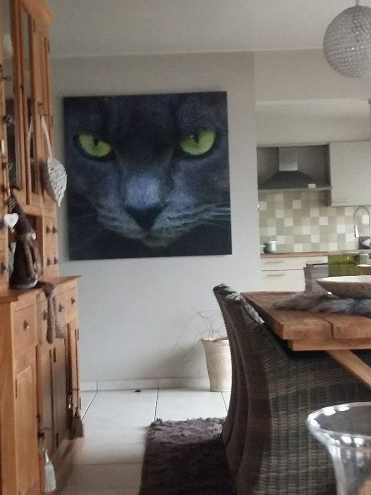 Green eyes  van Emajeur Fotografie 