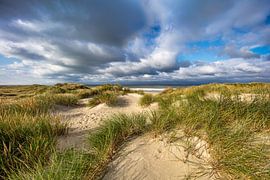 Dunes de l'île de Vlieland sur Frans Lemmens