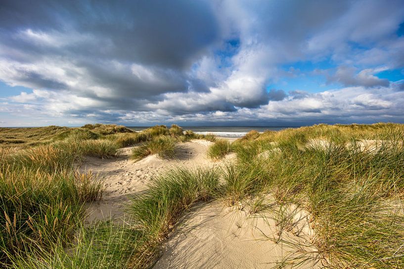 Dunes de l'île de Vlieland par Frans Lemmens