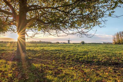 Poldermolen De Marsch