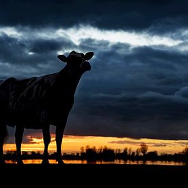 Vache au coucher du soleil sur Els Korsten