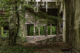 Green by Wanda Michielsen