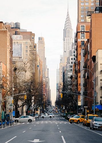 Straatbeelden van Manhattan