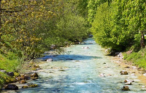 Rivier