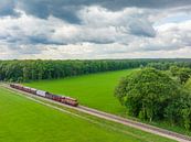 Oude diesel goederentrein op het platteland van Sjoerd van der Wal Fotografie thumbnail
