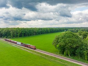 Alter Diesel-Güterzug auf dem Lande