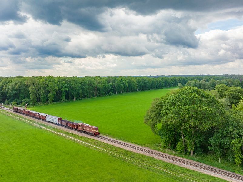 Oude diesel goederentrein op het platteland van Sjoerd van der Wal Fotografie