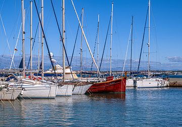 Kroatië : Preko op het eiland Ugljan van Photoart-Naegele