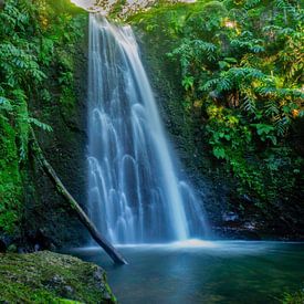 Dschungel Wasserfall von Gideon Gerard