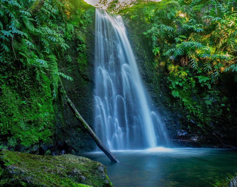 Jungle waterfall by Gideon Gerard