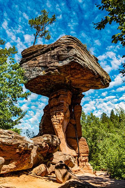 Pilsfelsen Teufelstisch in het Pfälzer Wald van Dieter Walther