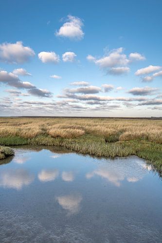 Avondlicht op het Wad Nabij Paesens Moddergat met wolken gespiegeld in stilstaand water.
