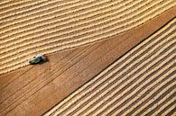 Photo aérienne d'un agriculteur récoltant du grain à Donderen dans la Drenthe par Frans Lemmens Aperçu