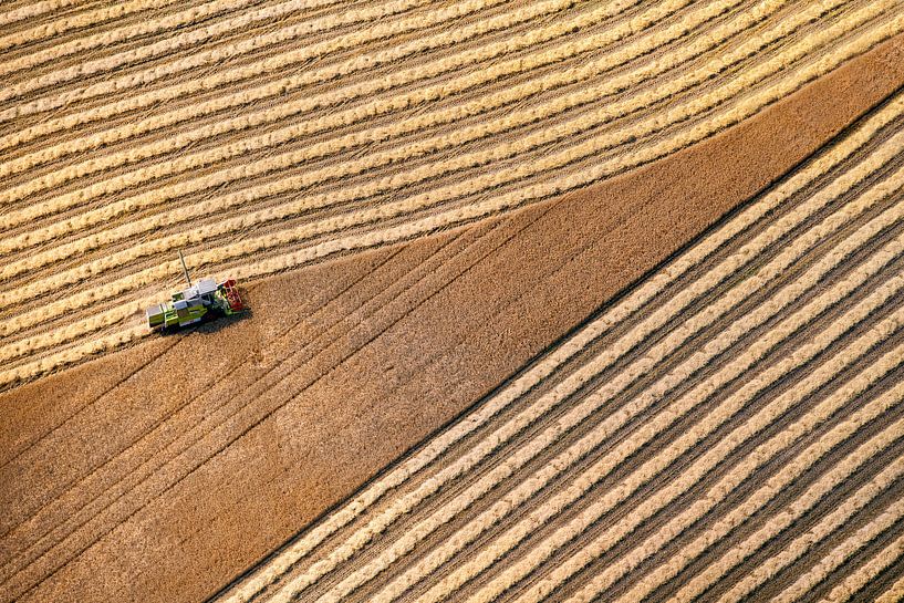 Luchtfoto van boer die graan oogst van Frans Lemmens