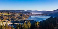 Titisee dans le parc naturel du sud de la Forêt-Noire