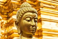 Golden buddha van Ilya Korzelius thumbnail