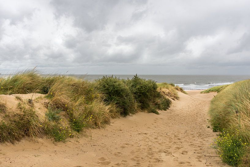 Dune path to the beach of Cadzand-bad on a cloudy day by John van de Gazelle fotografie