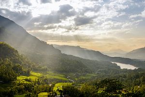 Theeplantages Sri Lanka  met zonnestralen