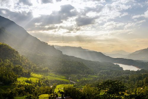Theeplantages Sri Lanka  met zonnestralen